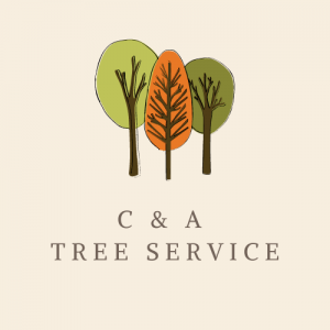 C & A Tree Service