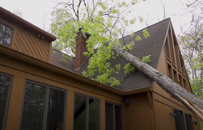 Pomona emergency tree service