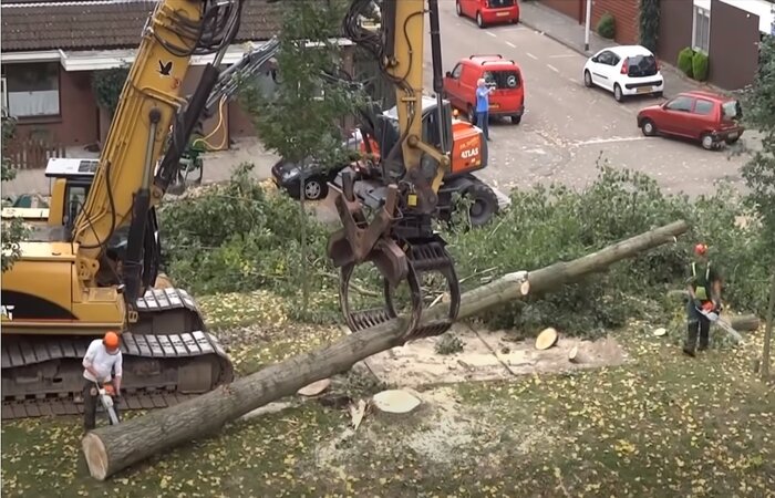 Residential tree cutting in Pomona