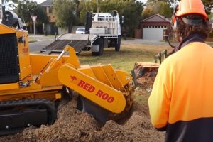 Pomona Tree Service stump removal