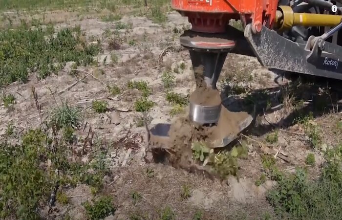 Pomona stump removal