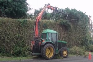 Pomona Tree Service tree trimming