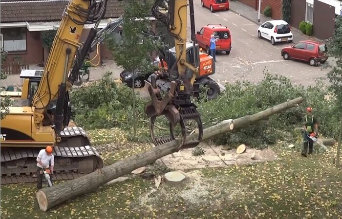 Residential tree cutting in Pomona Residential tree cutting in Pomona